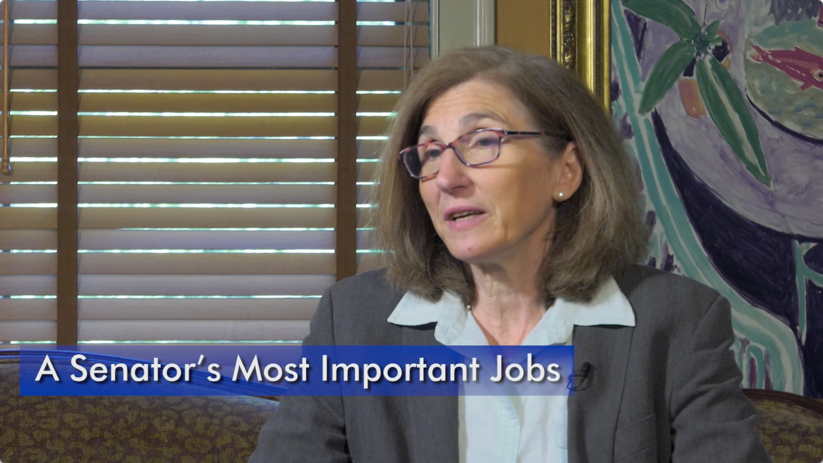 The job of a state senator